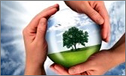 Environmental services 