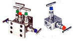 Mainfold Valves